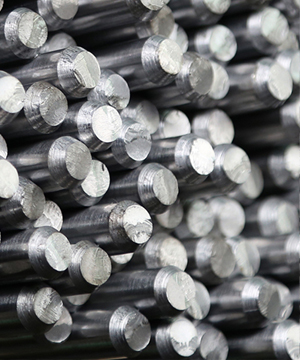 304����ֲ�