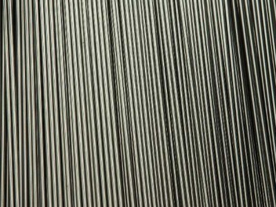 304����ֹ��������������������